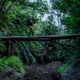 Illustration for article titled Ghost Monkeys Foretell Rainforest Destruction (Yes, Really)